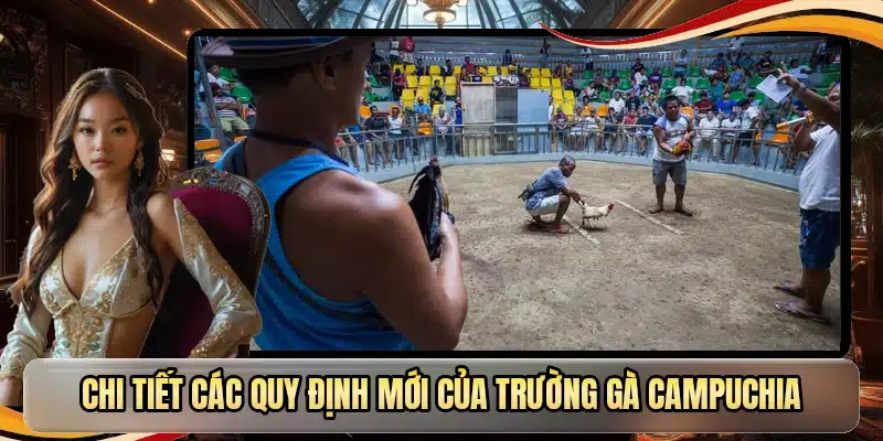 Chi tiết các quy định mới của trường gà Campuchia