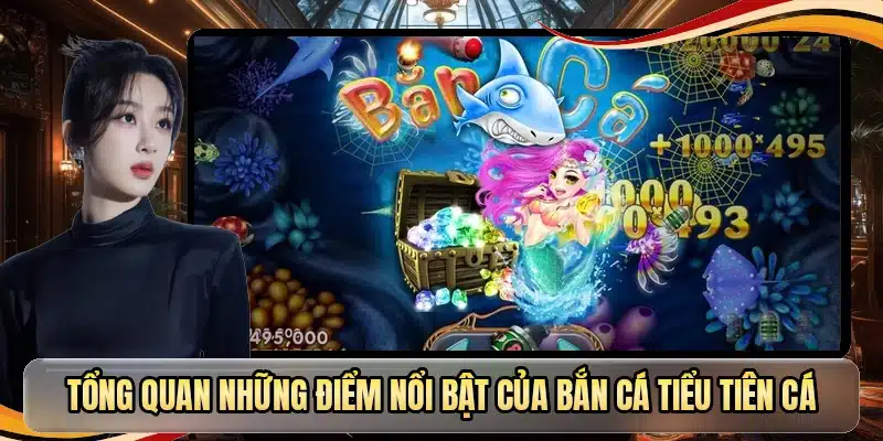 Tổng quan những điểm nổi bật của bắn cá tiểu tiên cá